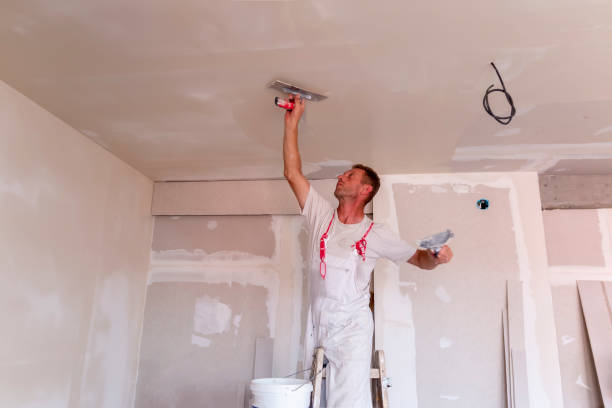 Leisure Knoll, NJ Painting & Drywall Services Company